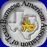 BAAT Logo